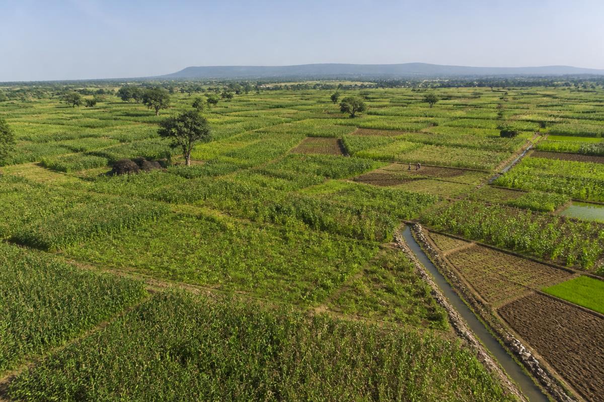 Oyo Cassava Estate in Oyo